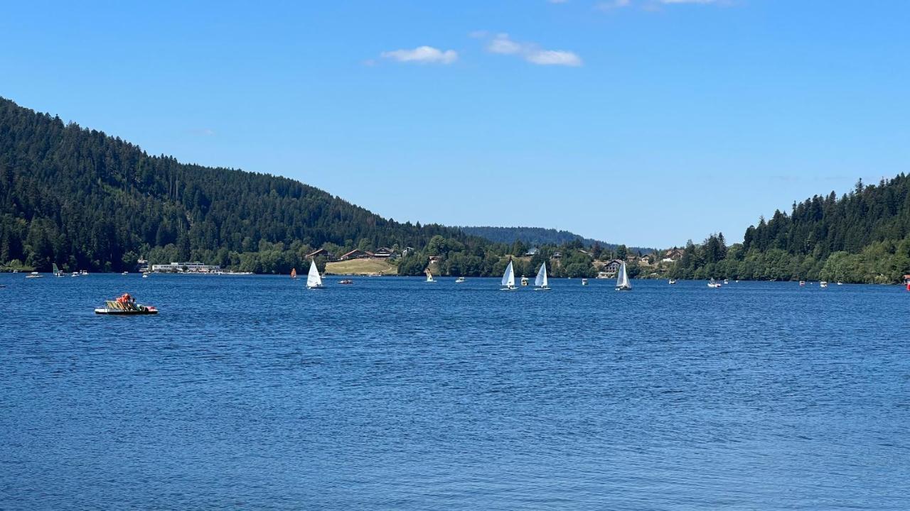 Cote Lac Gérardmer Kültér fotó